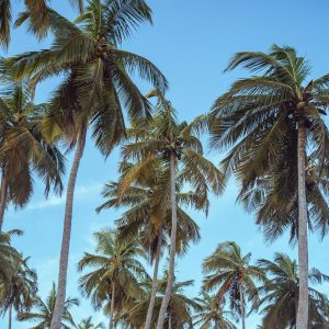 Solar Self-Sufficiency Is Feasible