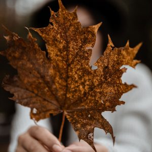 A Search Tool For Serendipity